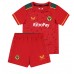 Cheap Wolves Away Football Kit Children 2023-24 Short Sleeve (+ pants)